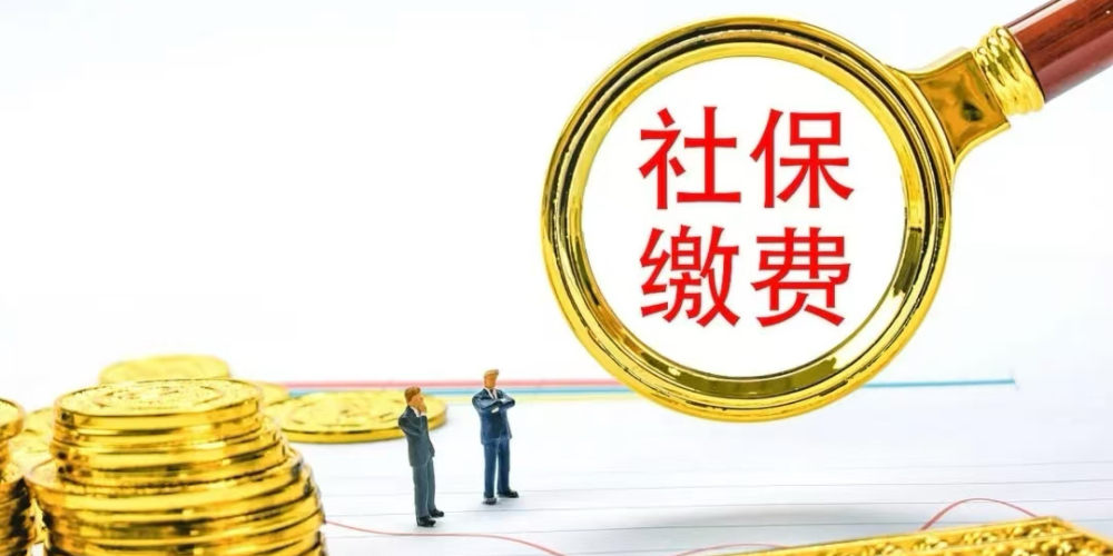 补缴社会保险的方式方法有哪些?其中最佳途径是哪个?