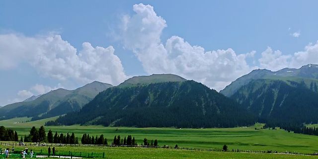 企业行使管理自主权中应当避免哪些法律风险?如何控制?