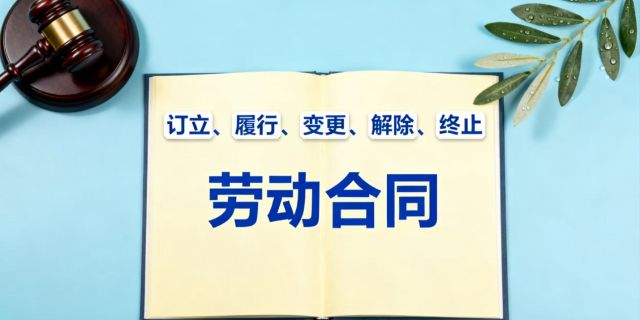 事业单位与实行聘用制的工作人员订立、履行、变更、解除或者终止劳动合同如何把握处理？应当注意的事项有哪些？